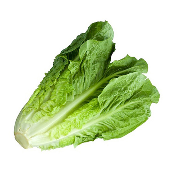 Βιολογικό Μαρούλι  ΤΜΧ