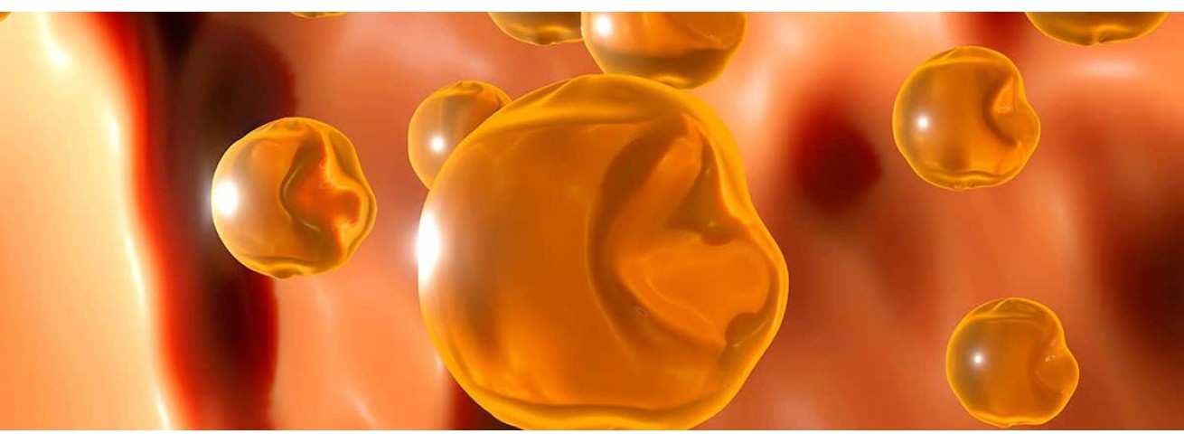 Χοληστερίνη ευλογία και ''κατάρα'' μαζί