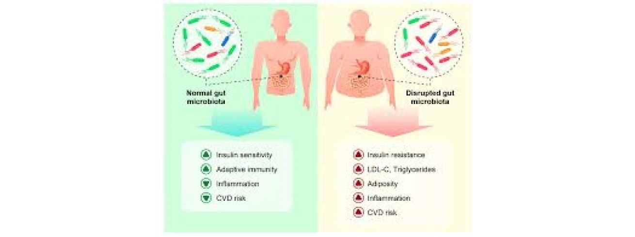 ΜΙΚΡΟΒΙΩΜΑ ΚΑΙ ΥΓΕΙΑ